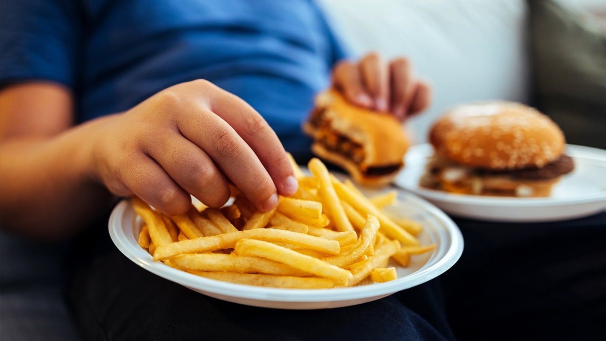 Boy eating French fries