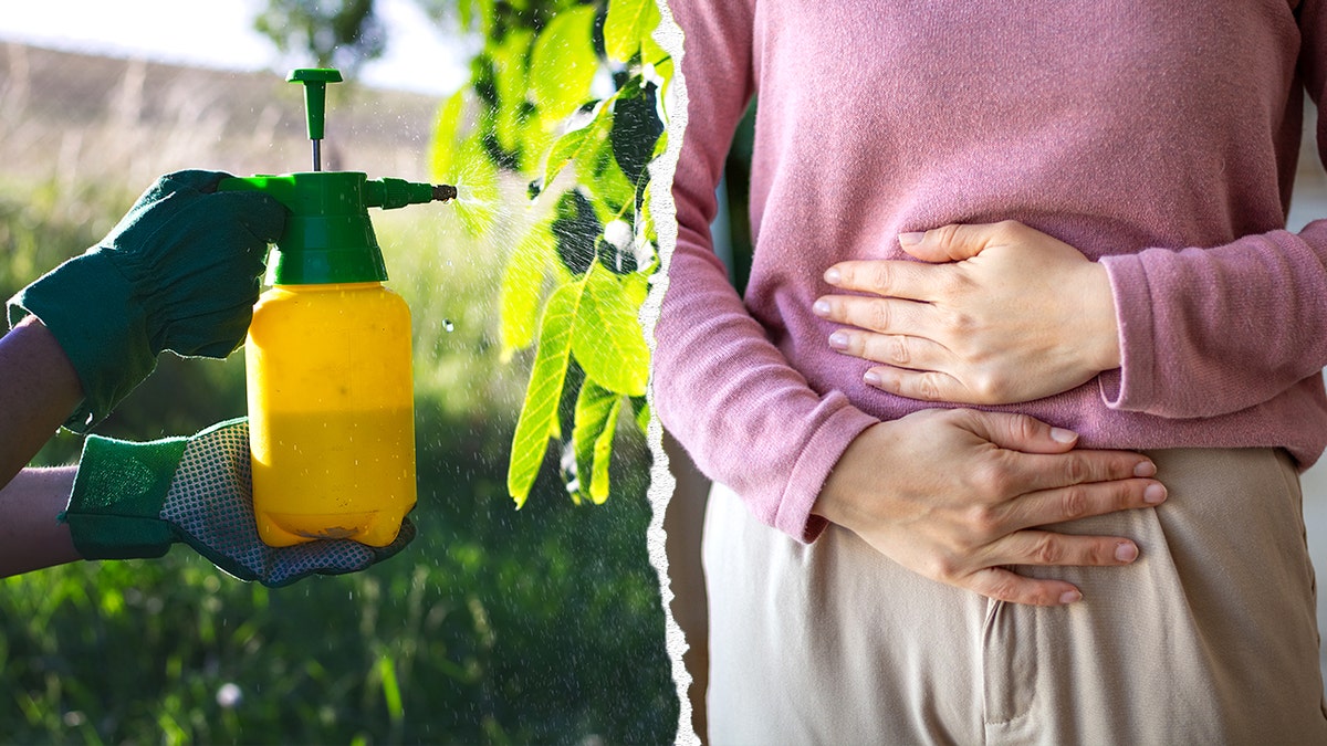 Split image of pesticide, person holding stomach