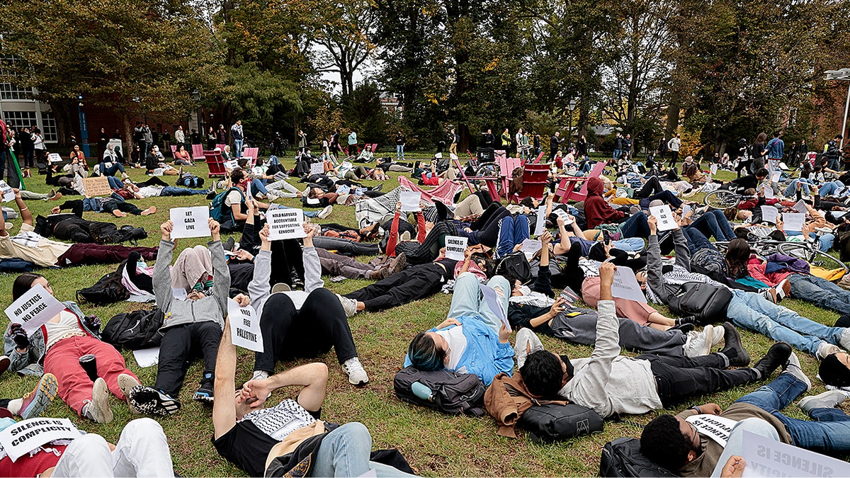 Protest na Harvardzie
