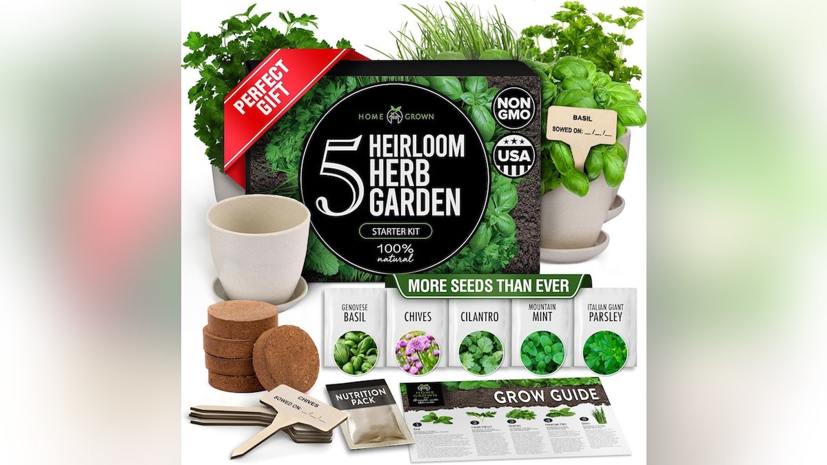 Budding chefs can start their own herb garden with this easy-to-use kit.