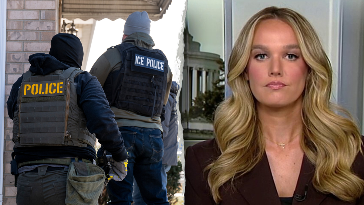 ICE police make arrest split with Tricia McLaughlin