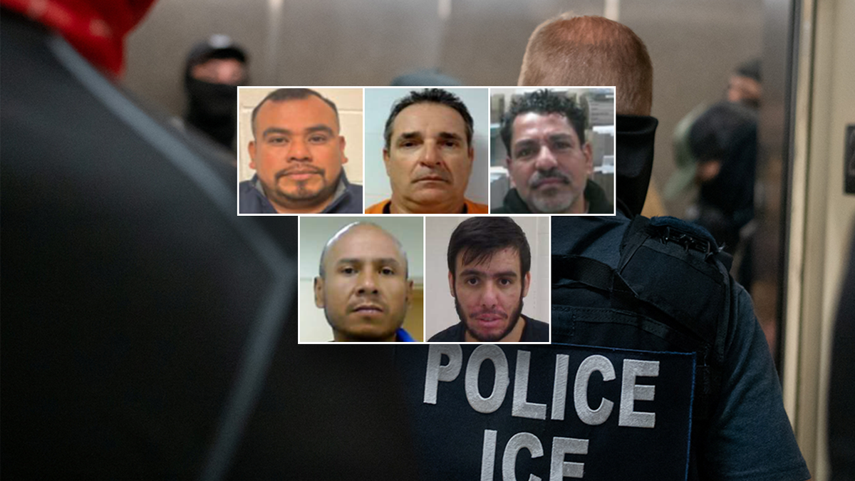 "Worst of the worst" illegal aliens arrested by DHS Christmas weekend 2025.