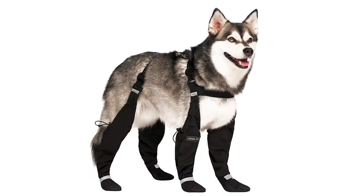 Stop worrying about boots falling off in the snow. 