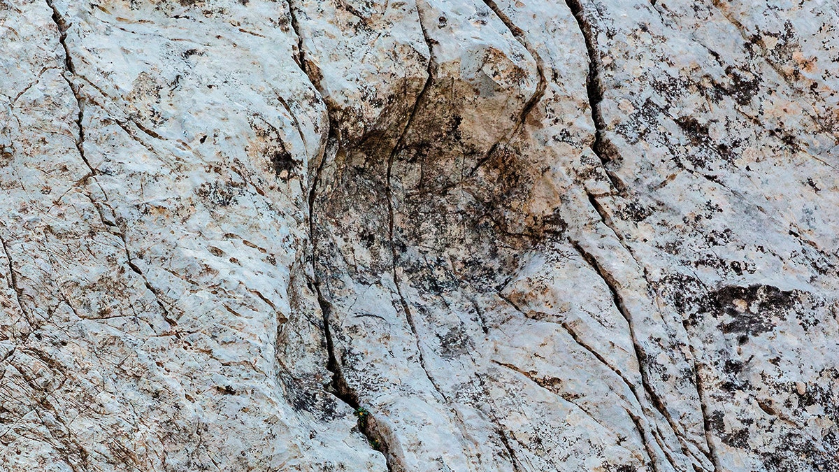 A dinosaur footprint in Italy