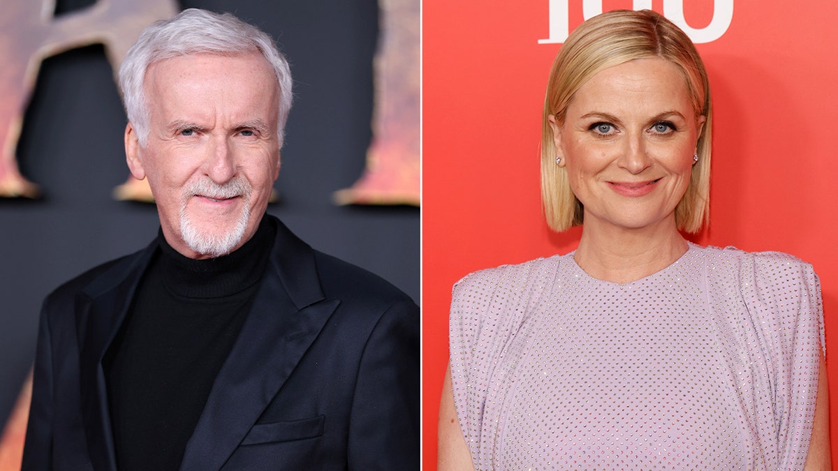 Split of James Cameron and Amy Poehler