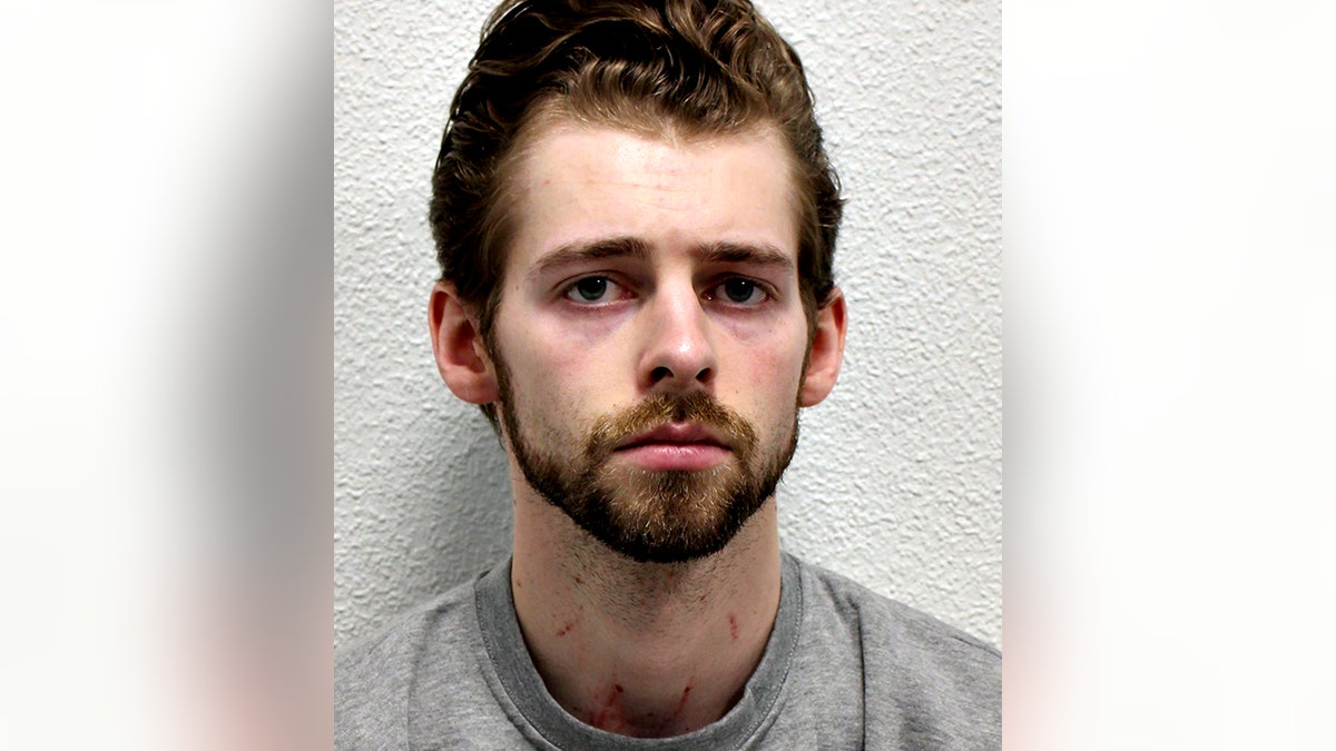 Joshua Michals mugshot