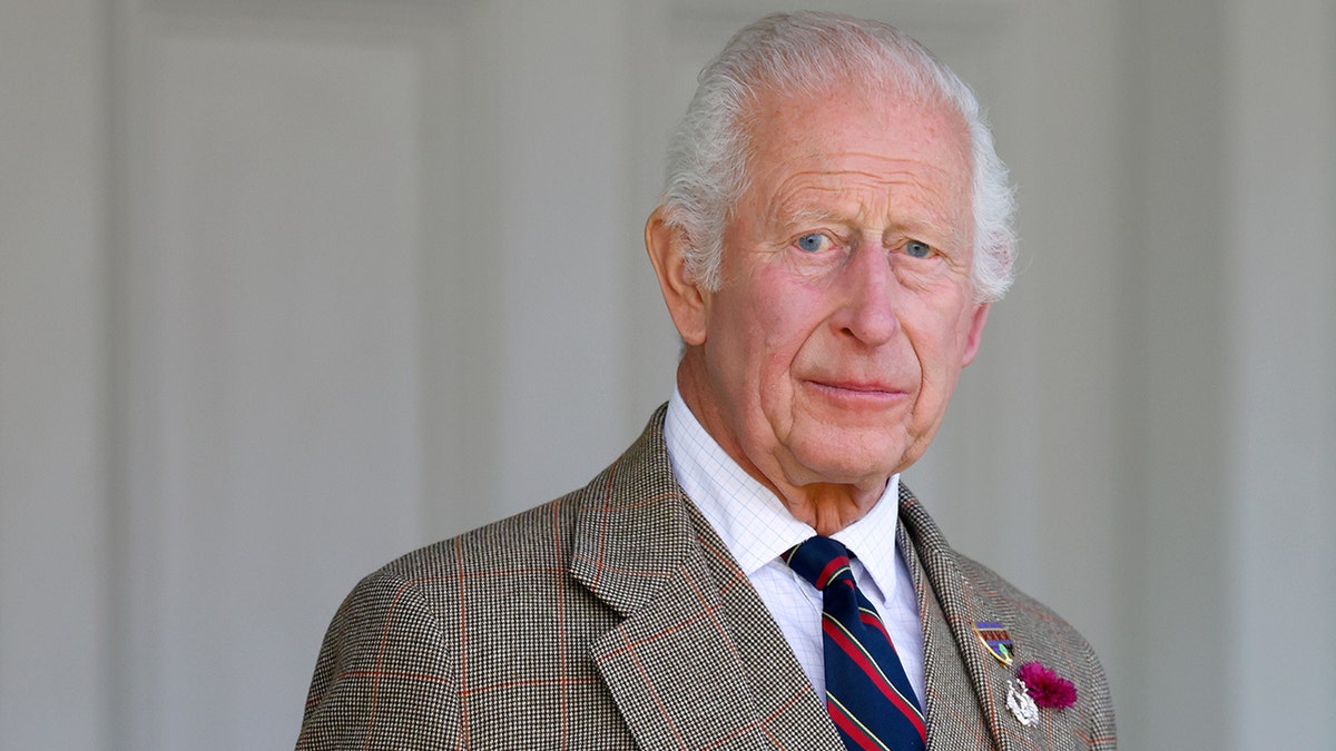 King Charles III wearing a printed grey suit and multistriped tie