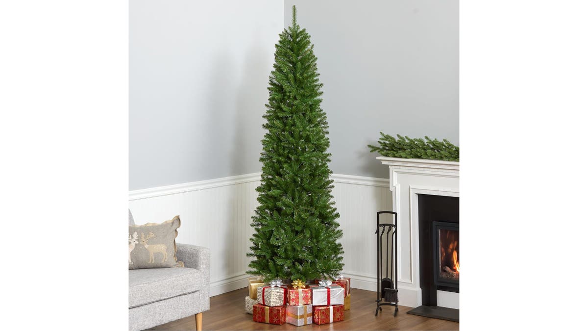 This tree is perfect for tight spaces.