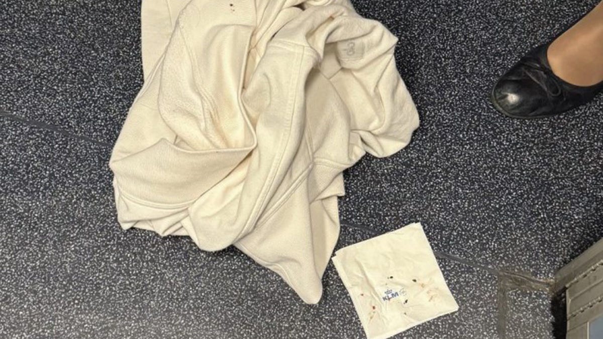 A sweater and napkin that had bed bugs during a transatlantic flight