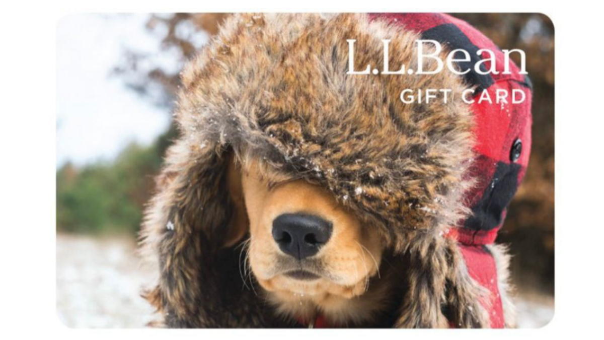 This gift card is a winter wear and tote bag lover's dream come true.