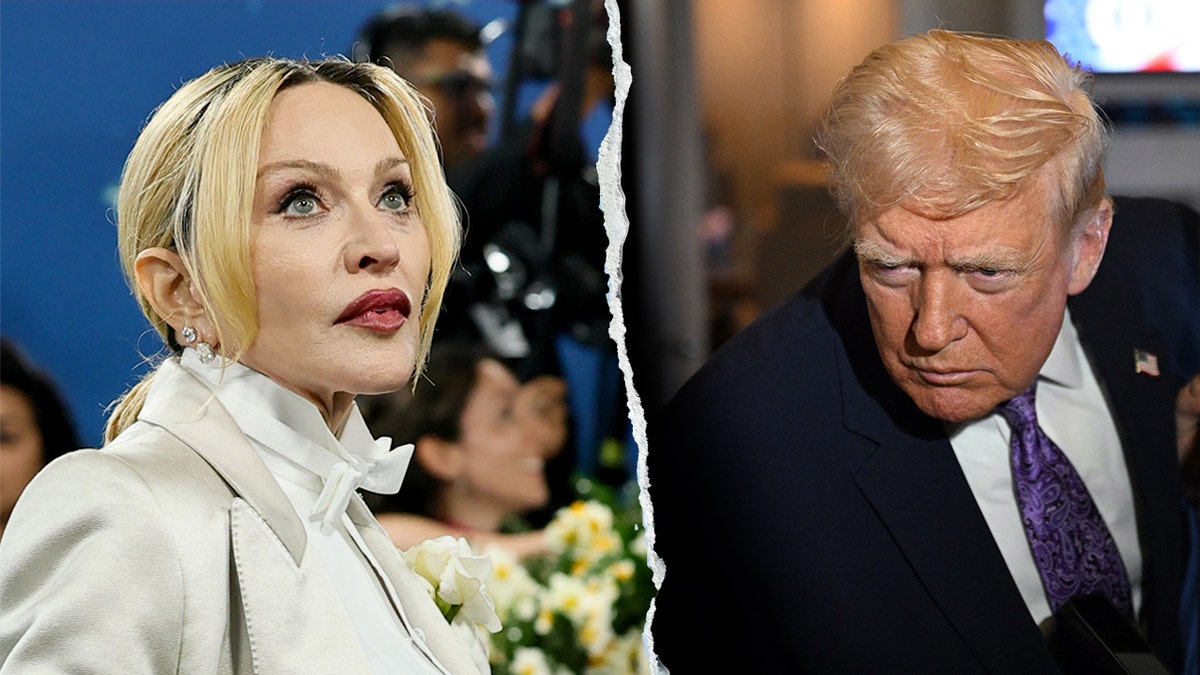 Singer Madonna commented about President Donald Trump