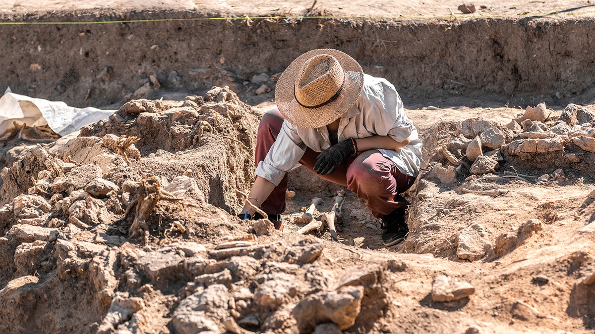 Gambar stok arkeolog yang bekerja di lokasi