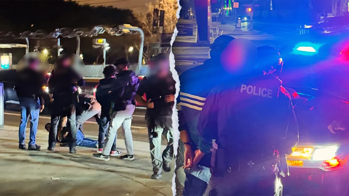 Nick Reiner held down by law enforcement, in handcuffs during arrest