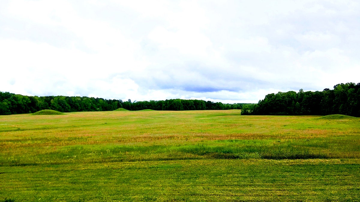 Louisiana father with ‘heart of gold’ dies after rifle accidentally discharges during hunting trip  at george magazine