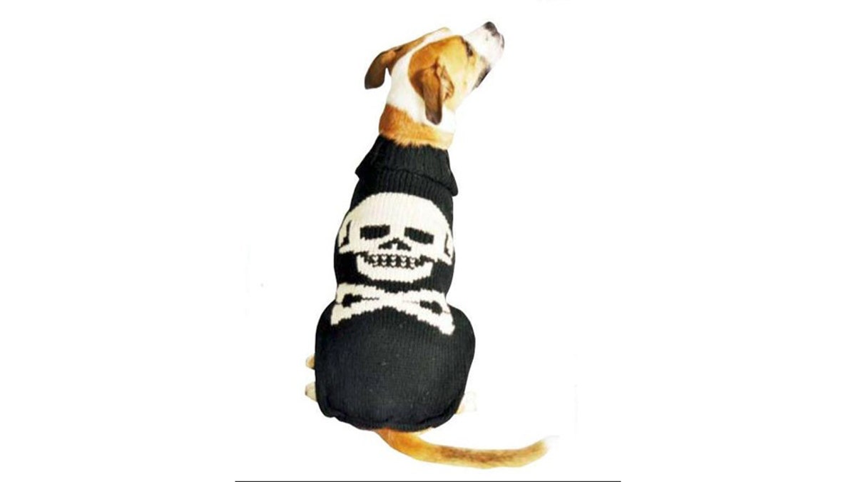 Your dog will look bad to the bone in this water-resistant sweater. 