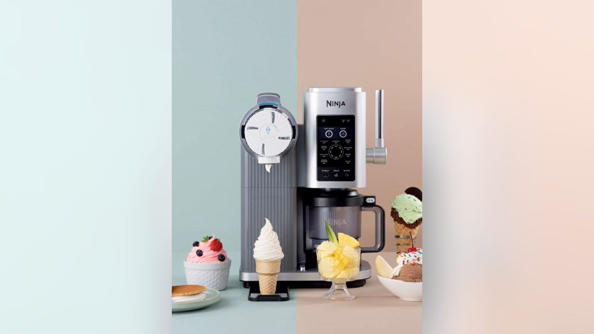 Make ice cream out of all your favorite fruits, milk and milk alternatives. 