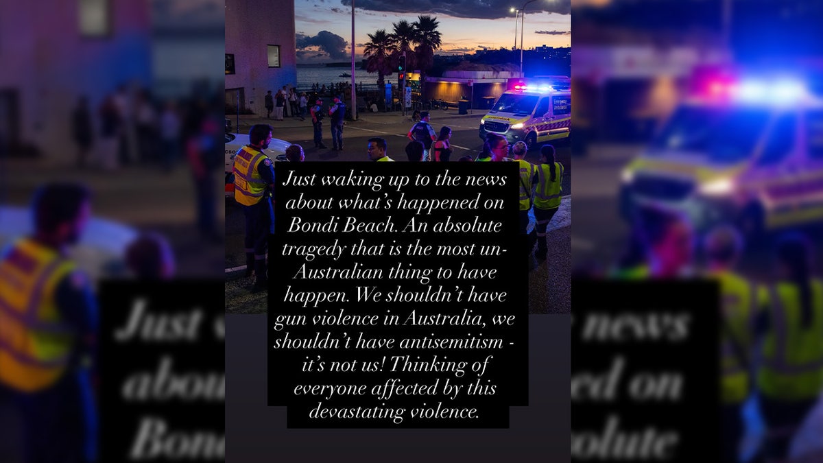 Rebel Wilson speaks on Australia mass shooting