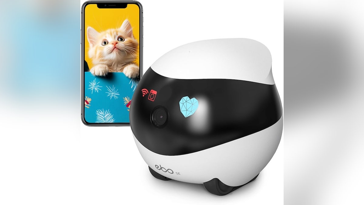 Best for: Active pets who need to get their zoomies out