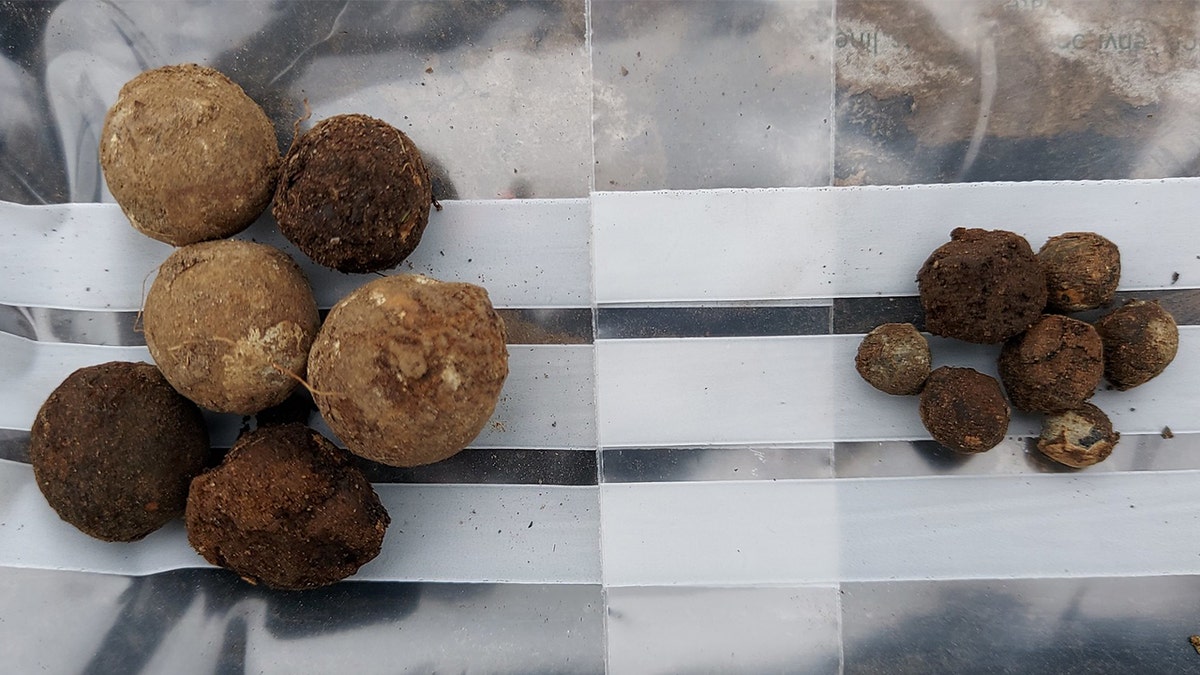 Musket balls covered in dirt