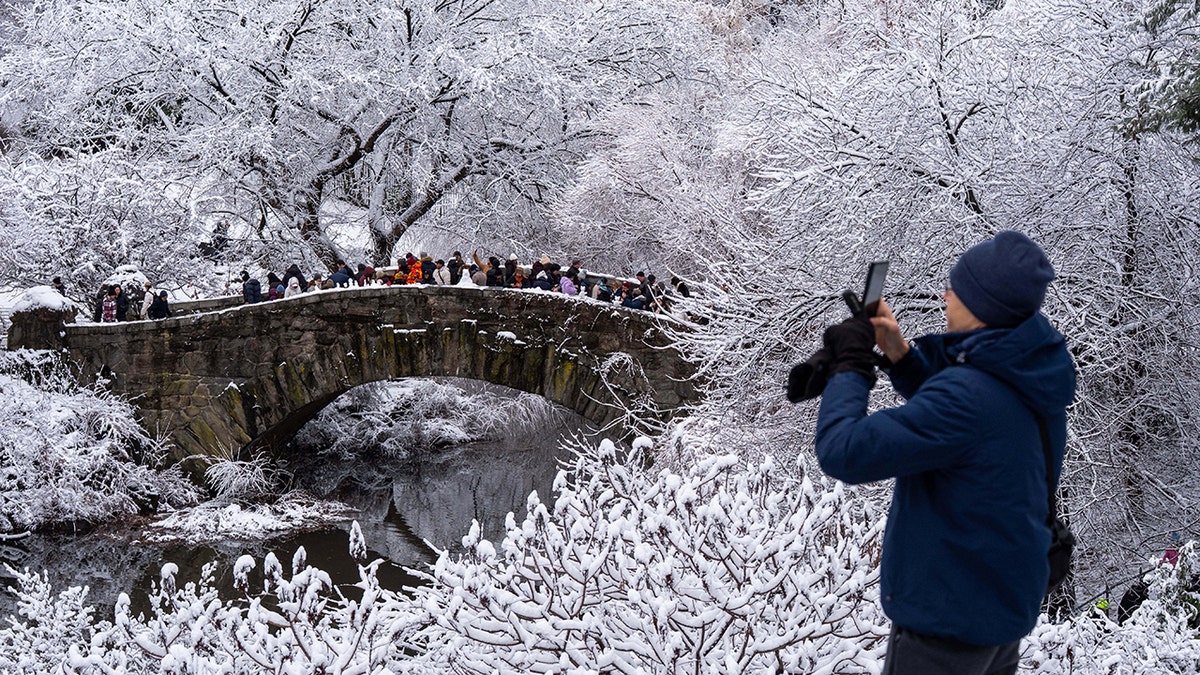 Winter wonderland in NYC after snowfall