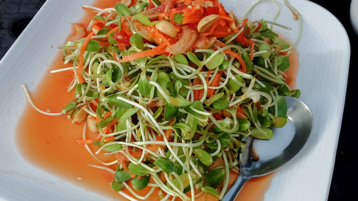 Fresh looking dish made with ingredients made from sunflower sprouts.