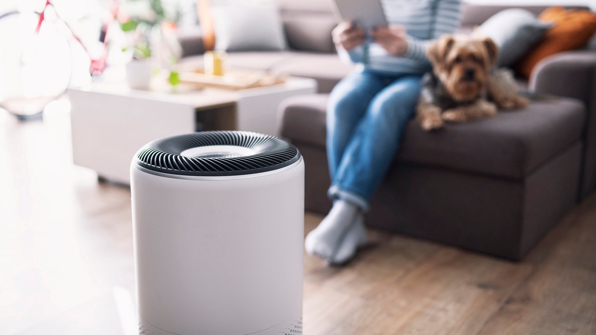 Keep your home dust and allergy-free with the right air purifier. 