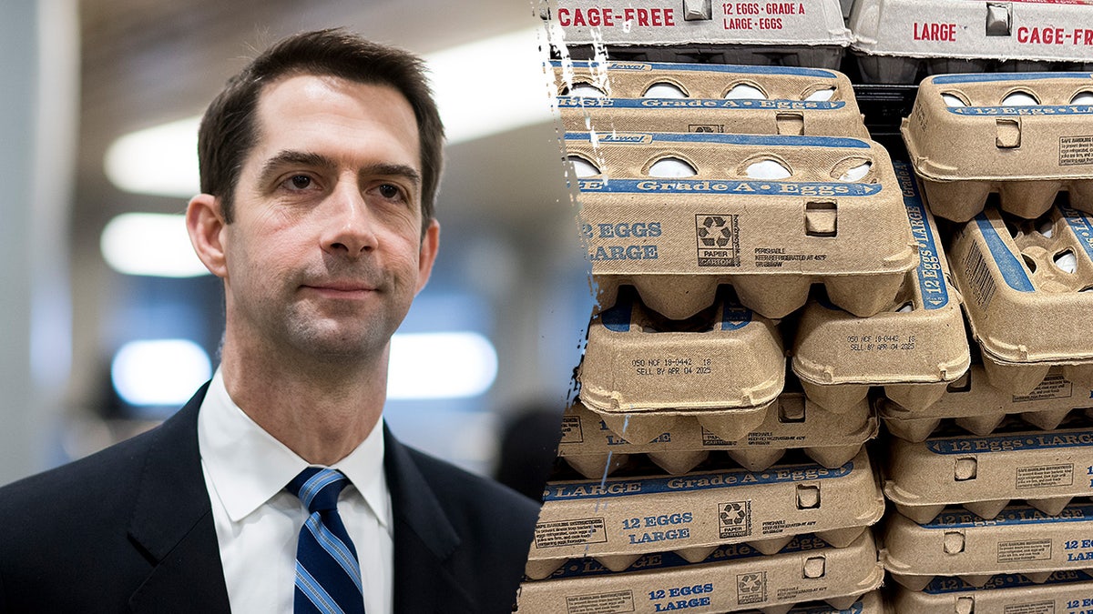 split image of tom cotton and egg cartons