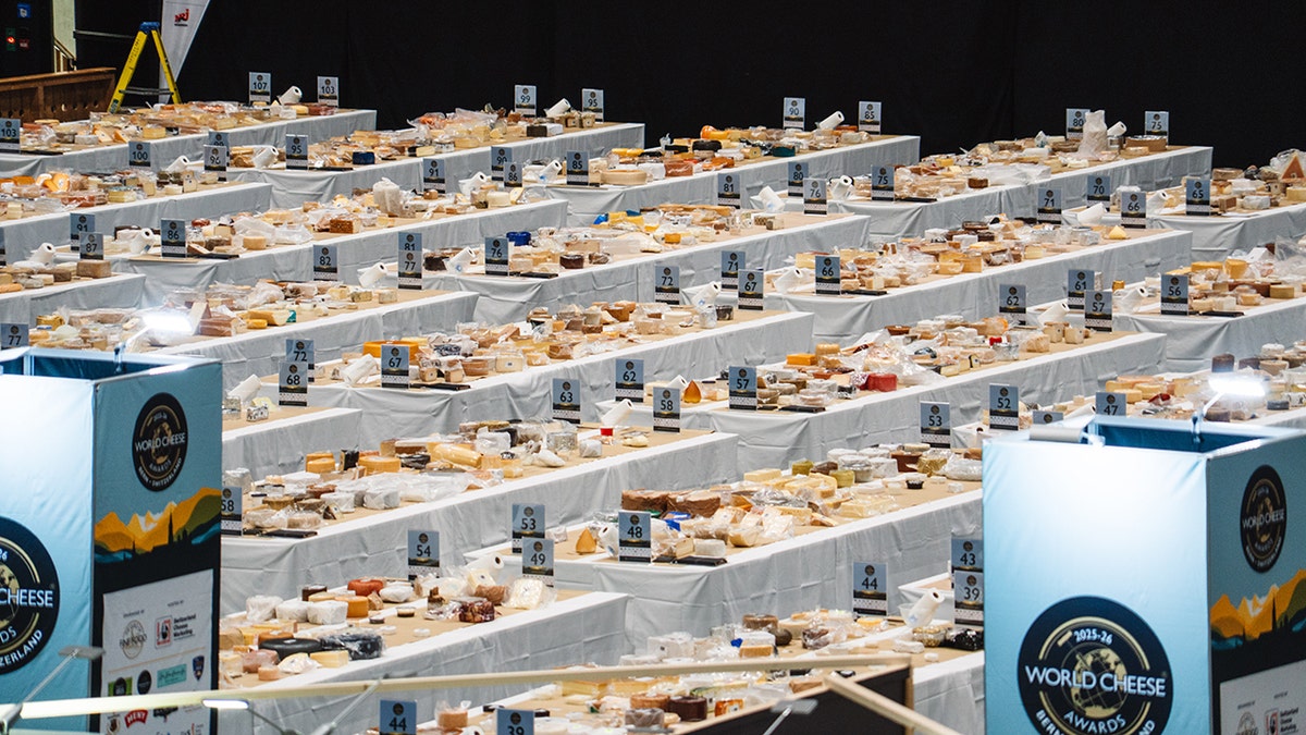 Cheese entries lined up on tables at World Cheese Awards ceremony, seen from above.