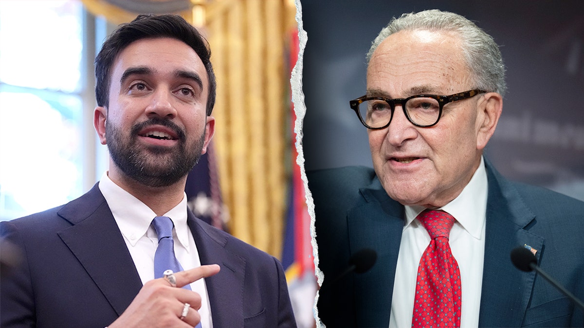 Zohran Mamdani and Chuck Schumer
