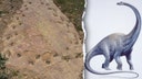 Limping dinosaur's twisted path puzzles paleontologists, 150 million years later: 'Very rare'