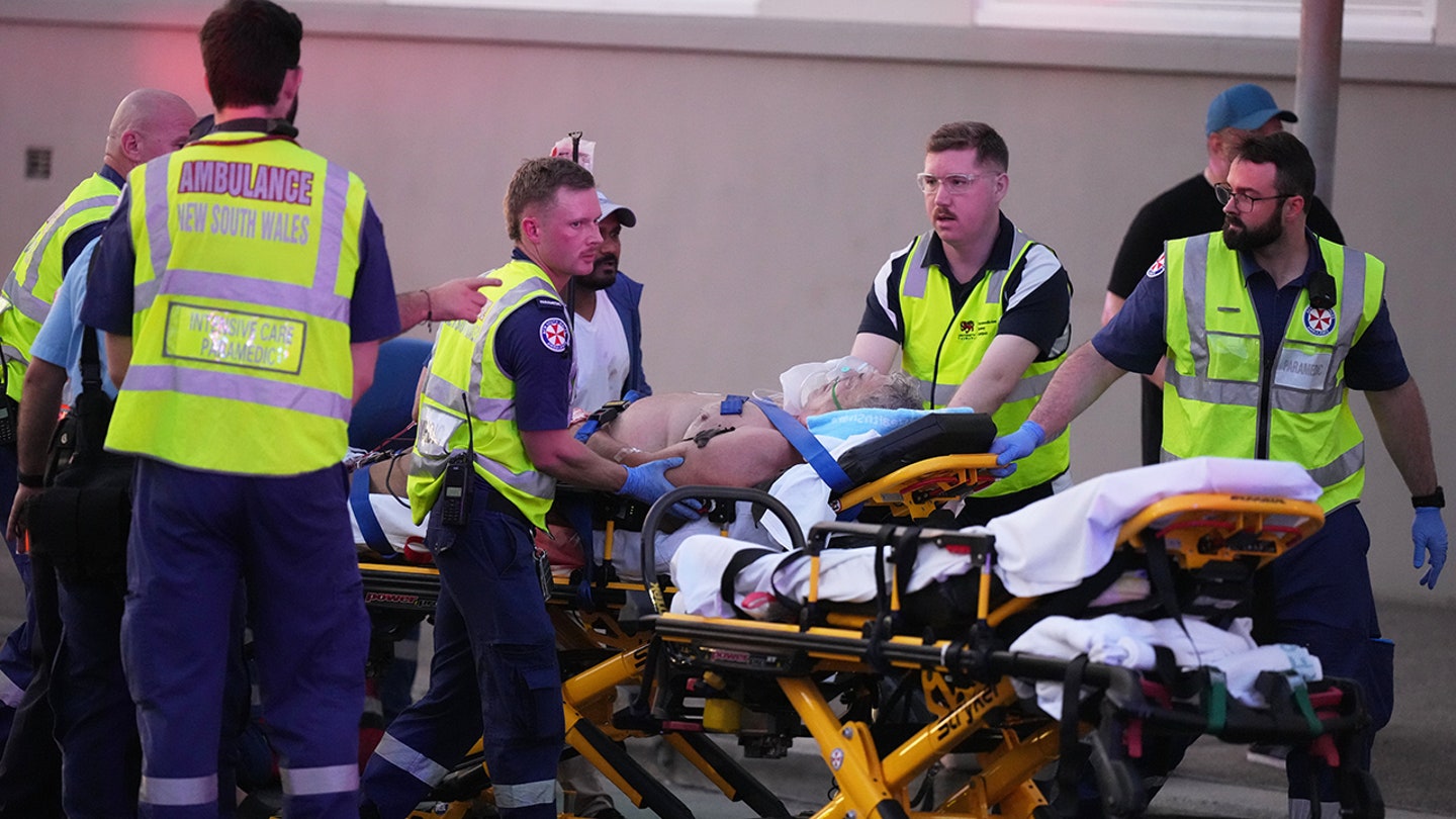 Bystander disarms suspected shooter in Australia Hanukkah attack