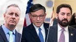 Brian Fitzpatrick, Mike Johnson, Mike Lawler