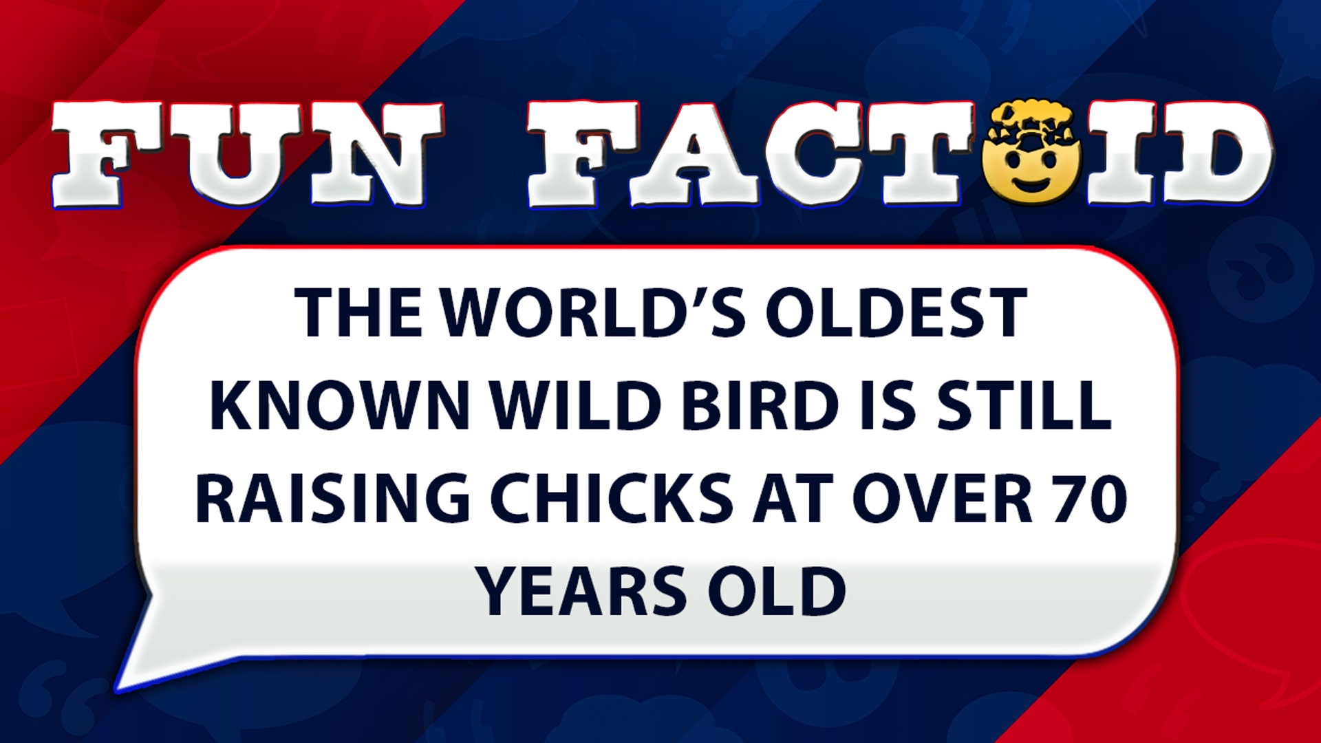 The world’s oldest known wild bird is still raising chicks at over 70 years old