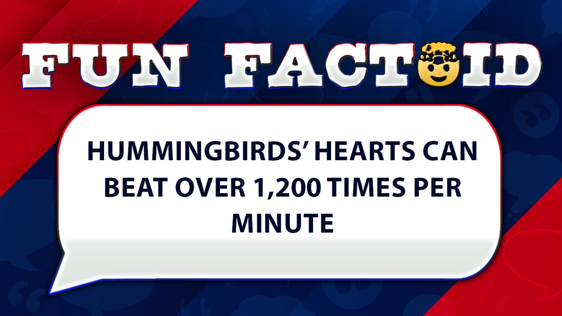 Hummingbirds’ hearts can beat over 1,200 times per minute