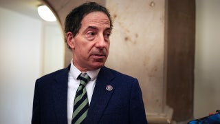 Raskin acts clueless when pressed on Democrats' anti-Trump rhetoric following WHCD shooting