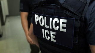 ICE opens up new front in war on fraud with new first-of-its-kind policy: 'On notice'