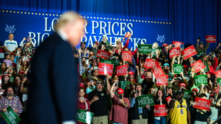 Republicans just got a powerful new playbook for the battle for Congress. Here's what's inside