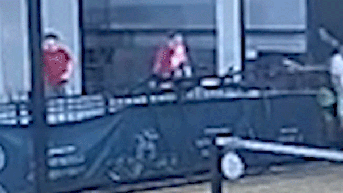 Pickleball player plunges to his death in 3-story fall after climbing over safety rail to retrieve ball - Fox News