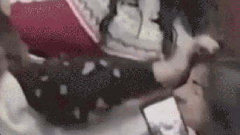 Lawmakers brawl during Mexico City debate as fight erupts over transparency plan - Fox News