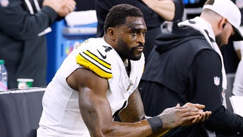 NFL upholds two-game suspension for Steelers’ Metcalf after incident with Lions fan - Fox News