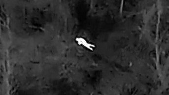 Drone equipped with thermal imaging leads police to lost elderly person in wooded area - Fox News