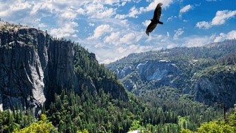 National parks ordered to remove merchandise that conflicts with diversity crackdown - Fox News