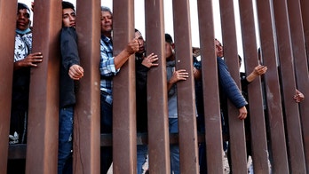 Trump admin ramps up key border security move that is expected to run over 1,400 miles: 'Important tool'