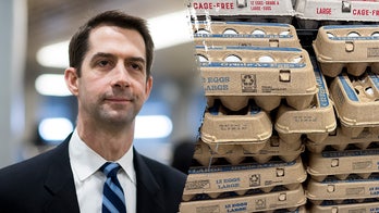 Cotton moves to loosen egg rules in bid to boost supply, ease affordability crunch