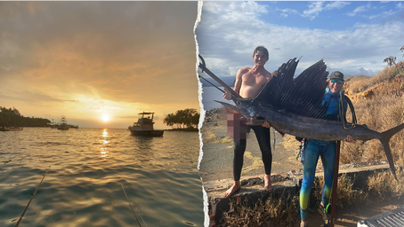 Fisherman survives near-fatal shark attack, keeps self alive