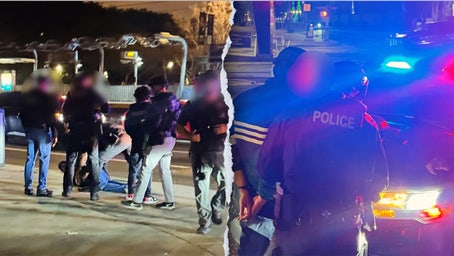 Nick Reiner handcuffed, arrested on camera