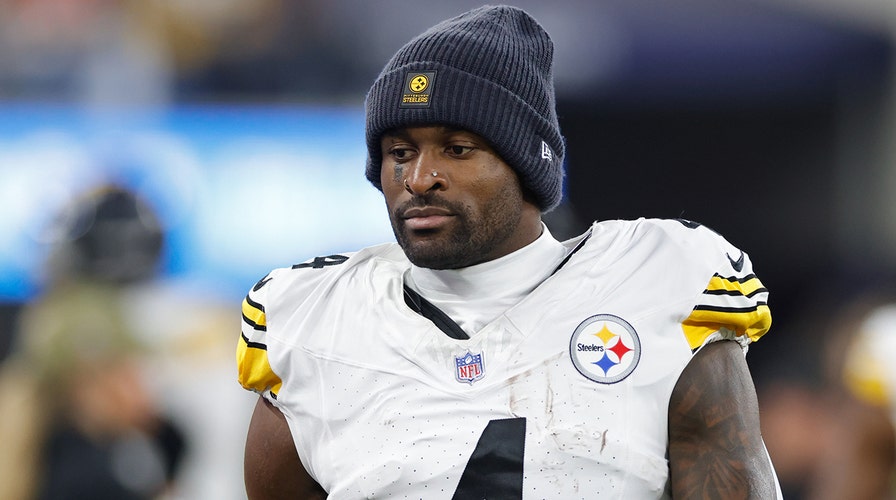 Steelers' DK Metcalf swings at Lions fan, could face NFL