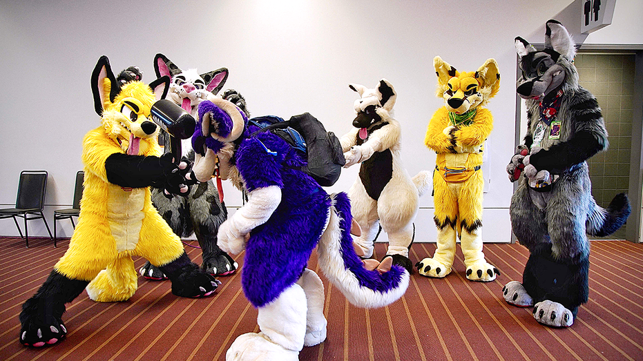 New York college approves ‘furry’ student club as trend spreads across US campuses