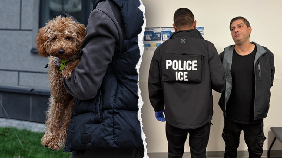 ICE arrests Azerbaijani national with multiple criminal convictions, including animal cruelty, arson