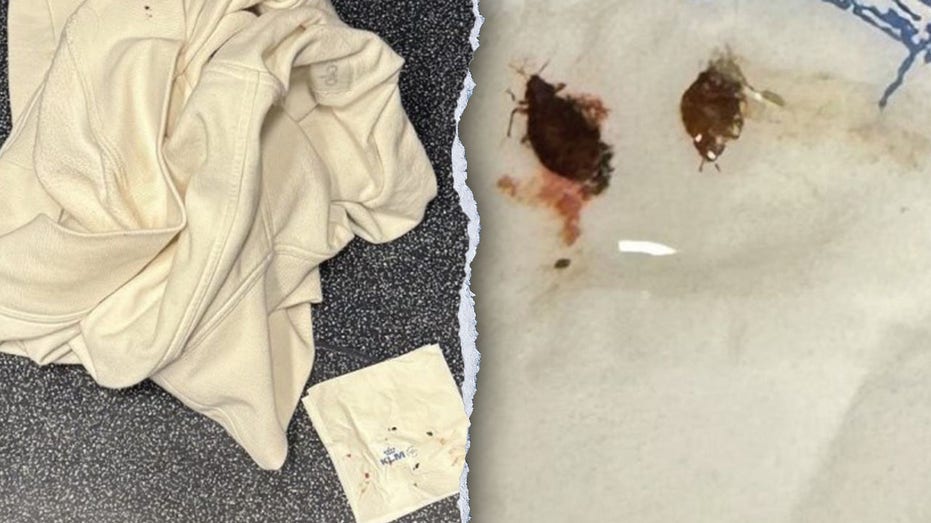 DELTA & KLM: NIGHTMARE FLIGHT FROM HELL! Family's Gruesome Bed Bug Ordeal EXPOSED!